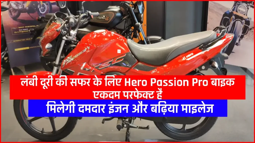 Hero Passion Pro